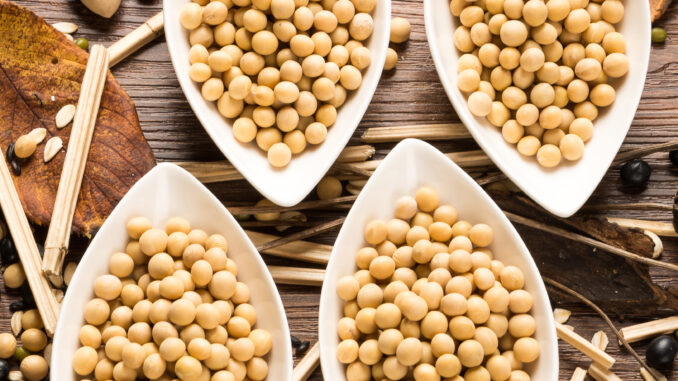 I benefici della Soia