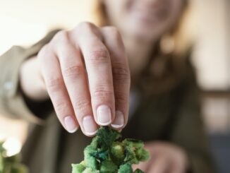 Bioedilizia: la disciplina che fa bene alla salute ed alla natura