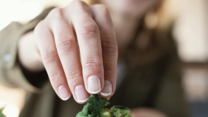 Bioedilizia: la disciplina che fa bene alla salute ed alla natura